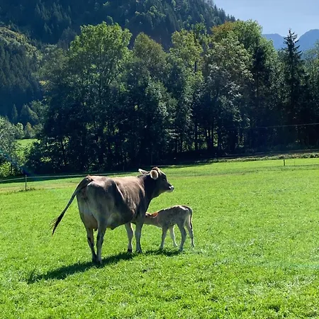 Haug Apartman Bad Hindelang